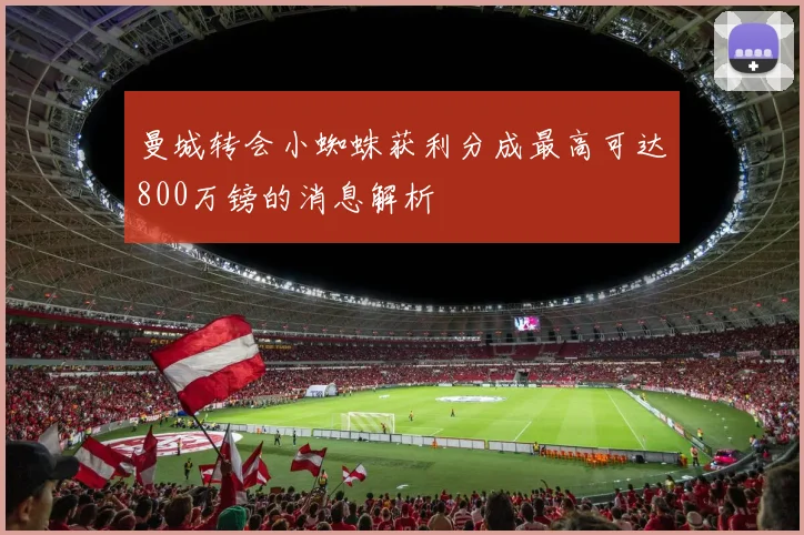 曼城转会小蜘蛛获利分成最高可达800万镑的消息解析