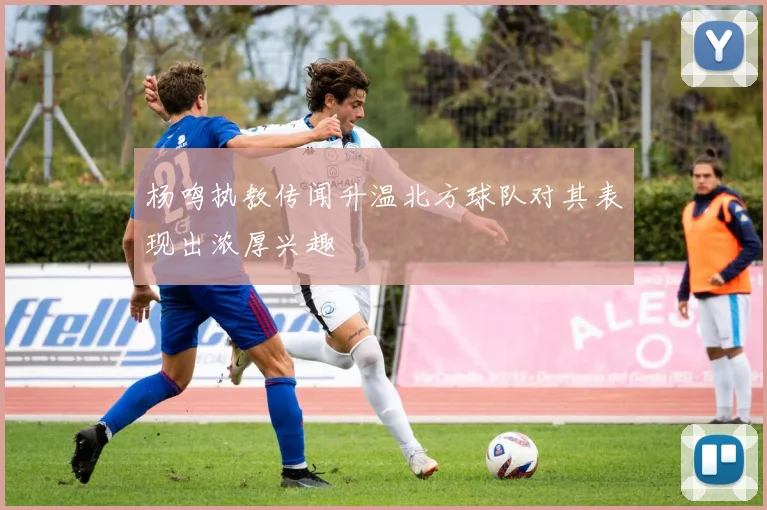 杨鸣执教传闻升温北方球队对其表现出浓厚兴趣